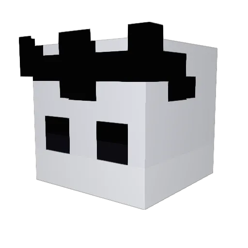 MRCatt54 Minecraft avatar head, 3D render