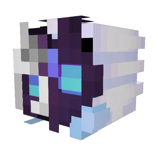 MRChofry Minecraft avatar head, 3D render