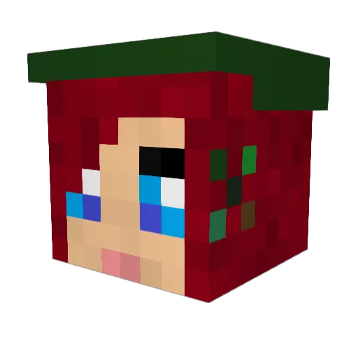 MRElroy Minecraft avatar head, 3D render