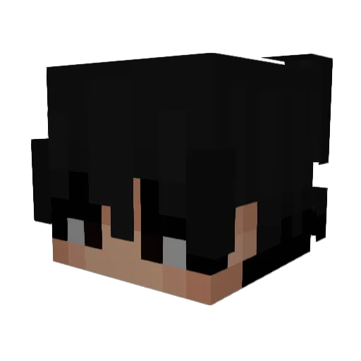 MRFlexio__ Minecraft avatar head, 3D render