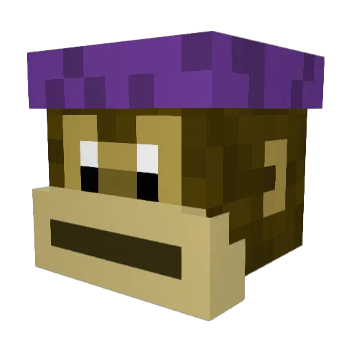 MRJEREMYJOHNSON Minecraft avatar head, 3D render