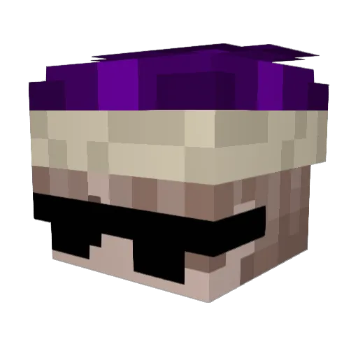 MRN_USER2 Minecraft avatar head, 3D render