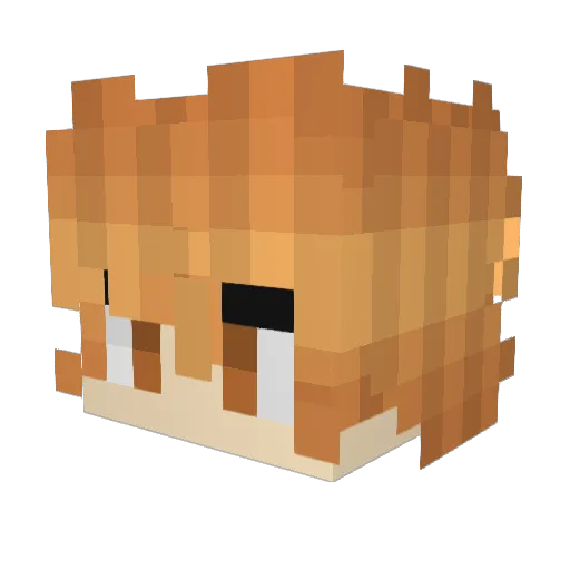 MROLEGAMER Minecraft avatar head, 3D render