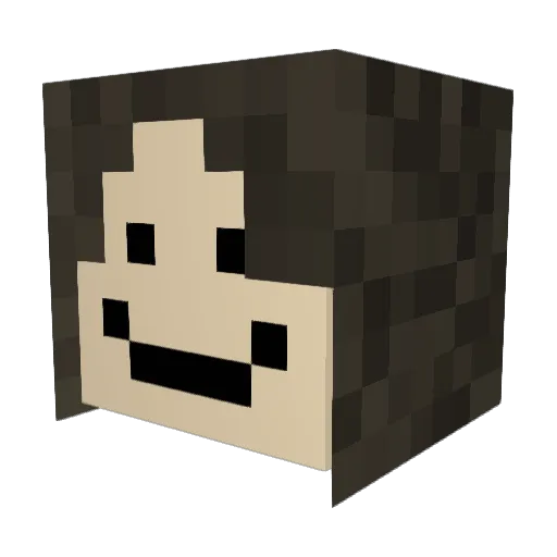 MRPUGPWNAGE2000 Minecraft avatar head, 3D render