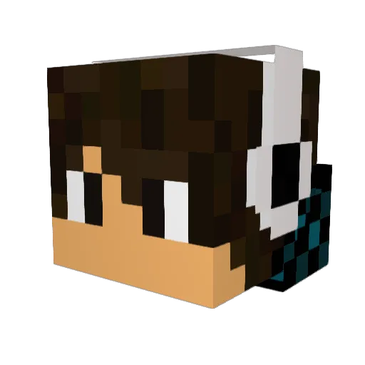 MRSASALAJ Minecraft avatar head, 3D render
