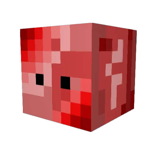 MRSUNSHINEXXXXX Minecraft avatar head, 3D render