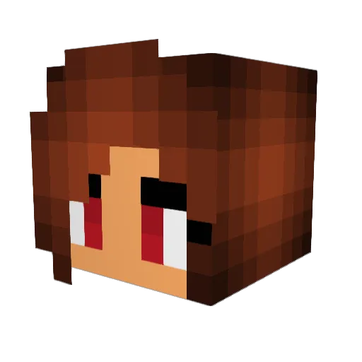 MRSVLT Minecraft avatar head, 3D render