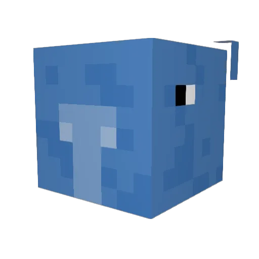MR_ANZONG Minecraft avatar head, 3D render