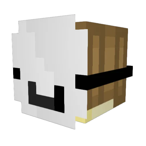 MR_Adam120 Minecraft avatar head, 3D render