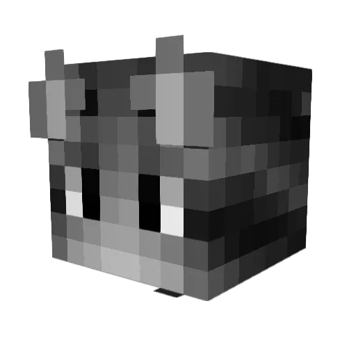 MR_Cat_polina Minecraft avatar head, 3D render