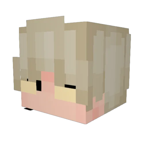 MR_FLIPER Minecraft avatar head, 3D render