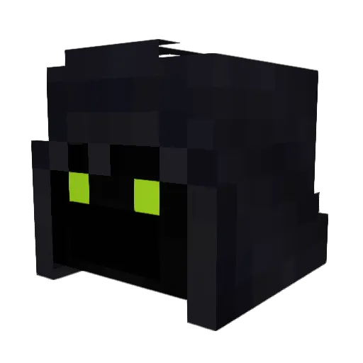MR_Fire2137 Minecraft avatar head, 3D render