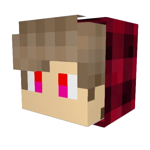 MR_Gamer48 Minecraft avatar head, 3D render