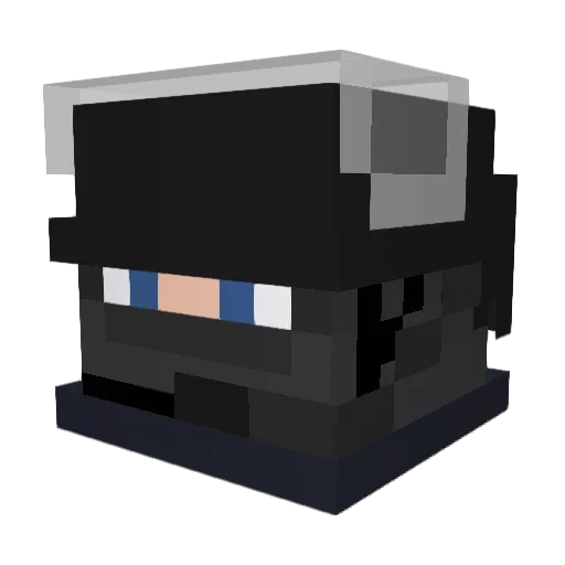 MR_HEIL_ Minecraft avatar head, 3D render
