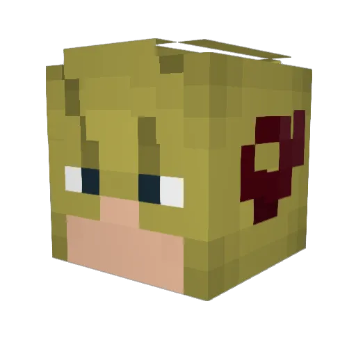MR_LEDZ Minecraft avatar head, 3D render