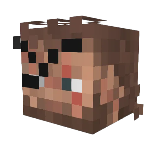MR_Mario1110 Minecraft avatar head, 3D render