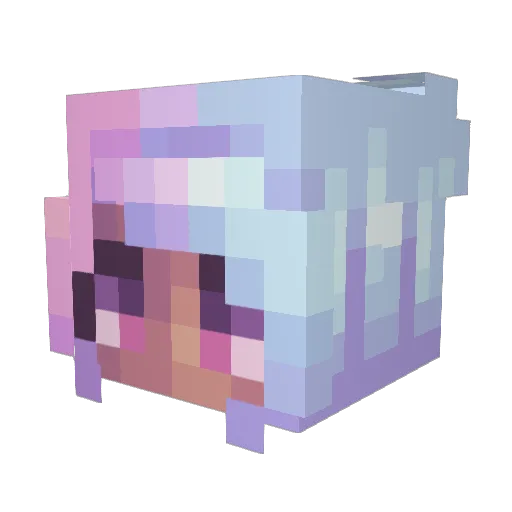 MR_Picklerick Minecraft avatar head, 3D render