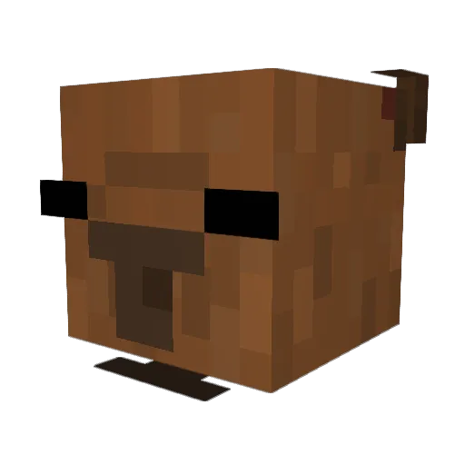 MR_Pinguin09 Minecraft avatar head, 3D render