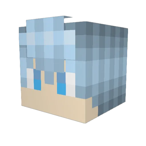 MR_Randomguy2777 Minecraft avatar head, 3D render