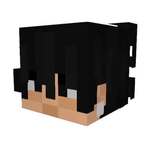 MR_SMILY4920 Minecraft avatar head, 3D render