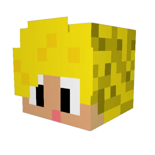 MR_Stark66 Minecraft avatar head, 3D render
