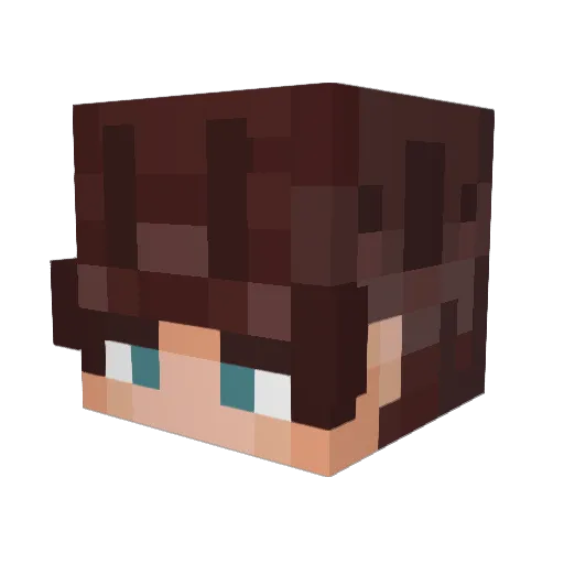 MR_Stone_ Minecraft avatar head, 3D render