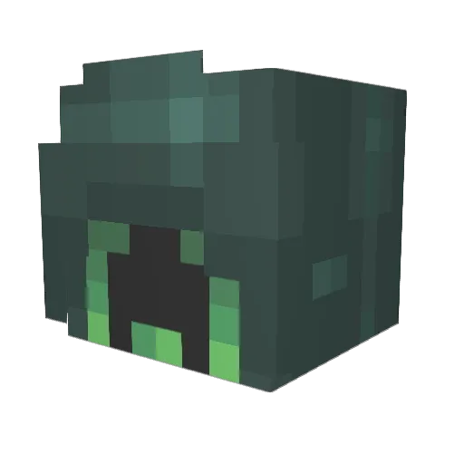 MR__PICKLES666 Minecraft avatar head, 3D render