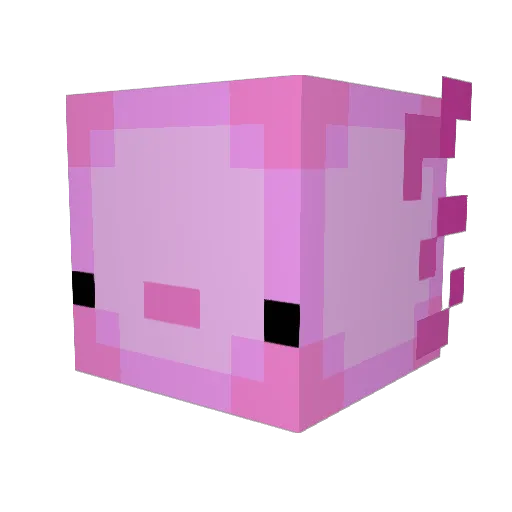 MR___axolotl Minecraft avatar head, 3D render