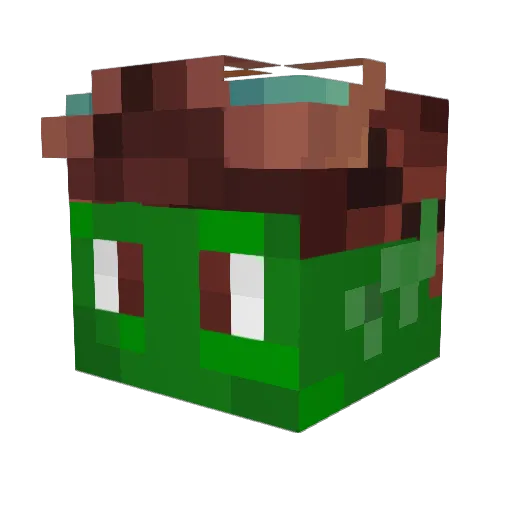 MR_haydofelous Minecraft avatar head, 3D render