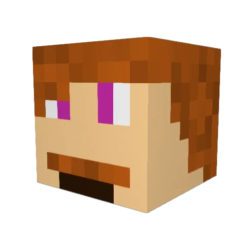 MR_lucky110 Minecraft avatar head, 3D render