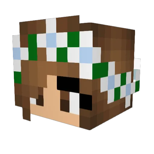 MRaspberry158 Minecraft avatar head, 3D render