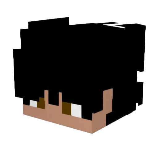 MRbigboss445 Minecraft avatar head, 3D render