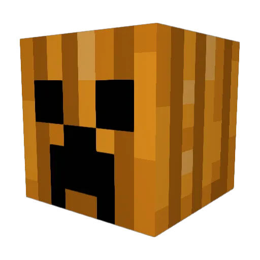 MRbruh89 Minecraft avatar head, 3D render