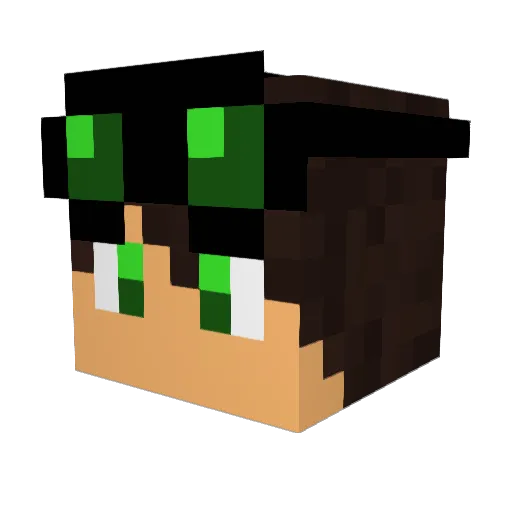 MRcoolYT Minecraft avatar head, 3D render