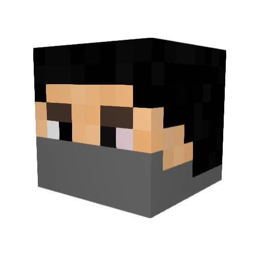 MRfreezer Minecraft avatar head, 3D render