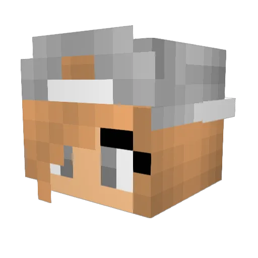MRiggs27 Minecraft avatar head, 3D render