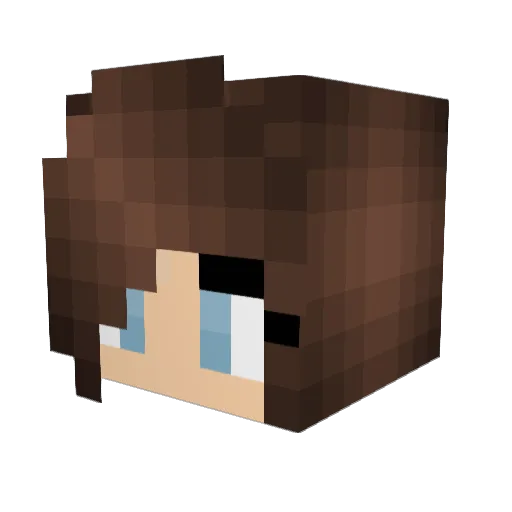 MSASP4 Minecraft avatar head, 3D render