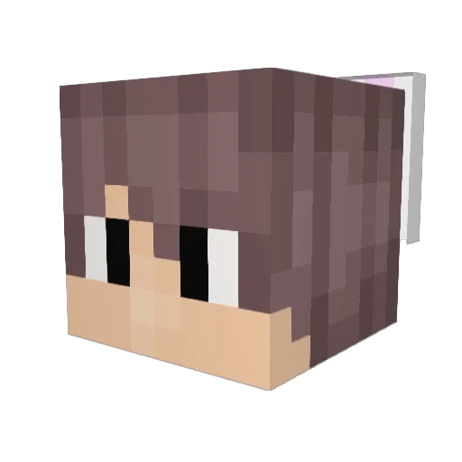 MSCSTSTS Minecraft avatar head, 3D render
