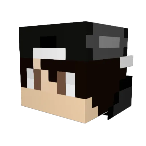MSG_91 Minecraft avatar head, 3D render