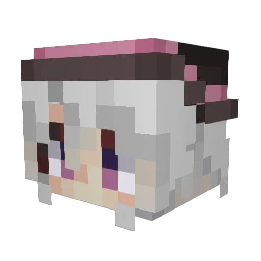 MSSkn218 Minecraft avatar head, 3D render