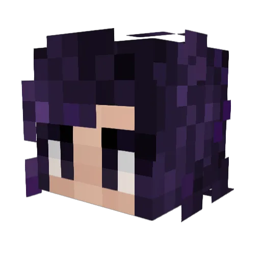 MS_GNOME Minecraft avatar head, 3D render