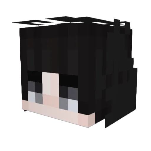 MS_SKI Minecraft avatar head, 3D render