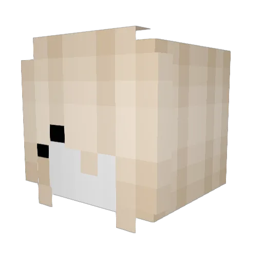 MSr7777 Minecraft avatar head, 3D render