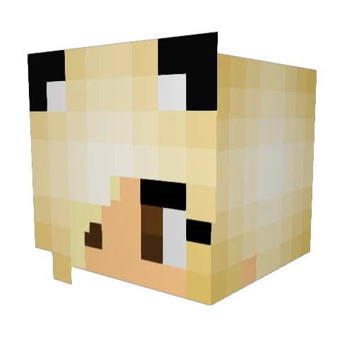 MTBDick Minecraft avatar head, 3D render