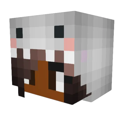 MTGAP Minecraft avatar head, 3D render