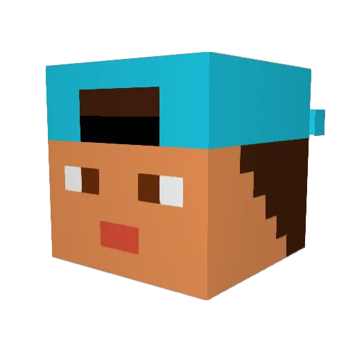 MTMT43 Minecraft avatar head, 3D render