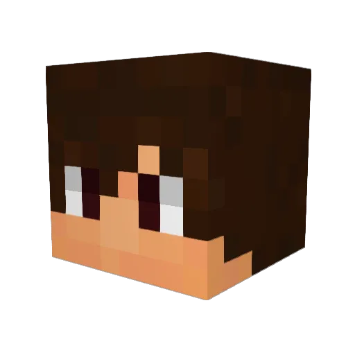 MTTCARLILLO Minecraft avatar head, 3D render