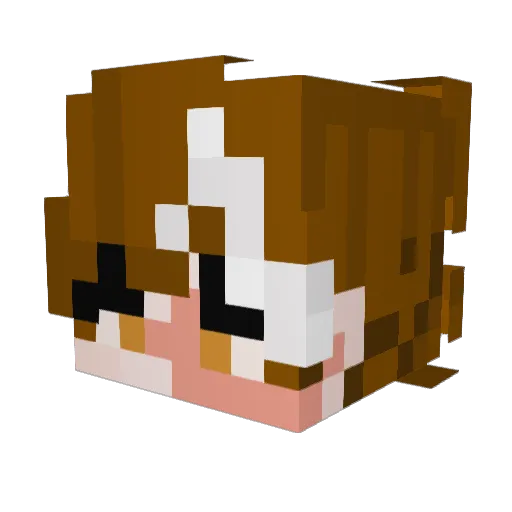 MTTHJC Minecraft avatar head, 3D render