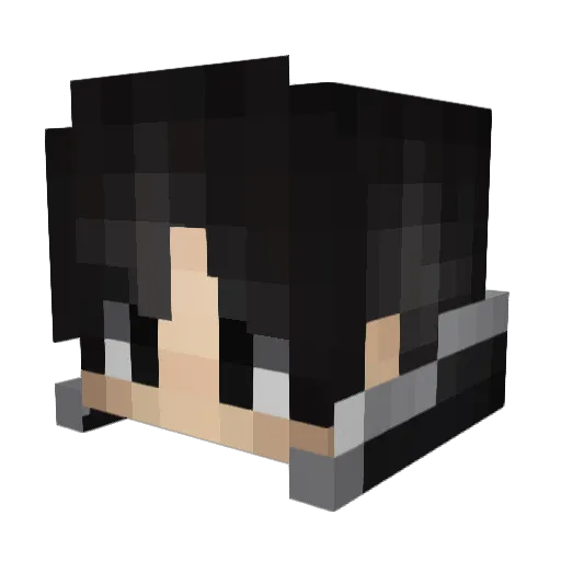 MTWTFSS69 Minecraft avatar head, 3D render