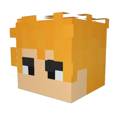 MTYR114514 Minecraft avatar head, 3D render